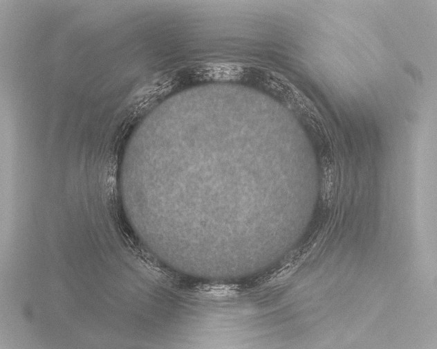 X0000116150553200912211511