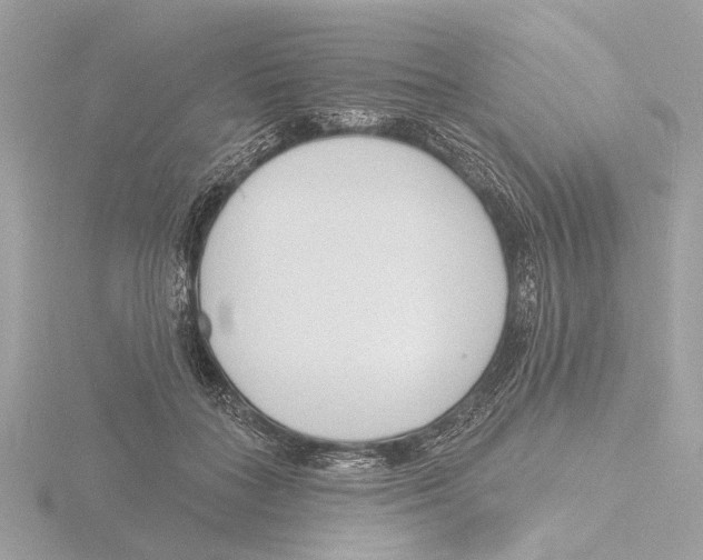 X0000116150555200912211511