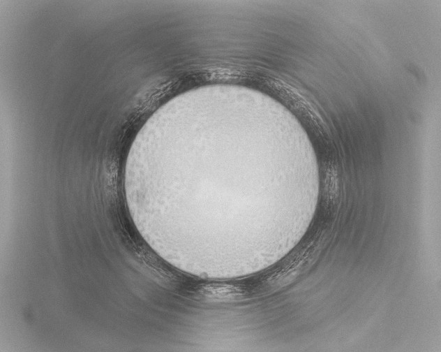 X0000116150557200912211511