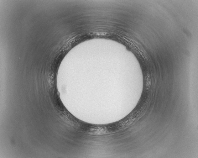 X0000116150559200912211511