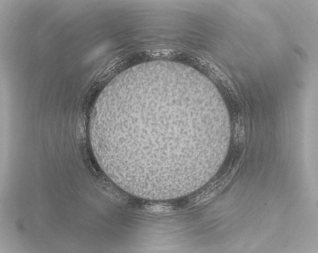 X0000116150561200912211511