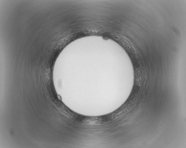 X0000116150563200912211511