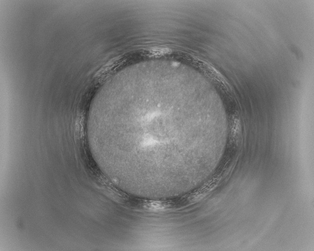 X0000116150565200912211511