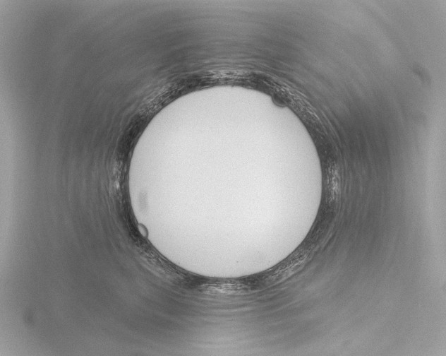 X0000116150567200912211511