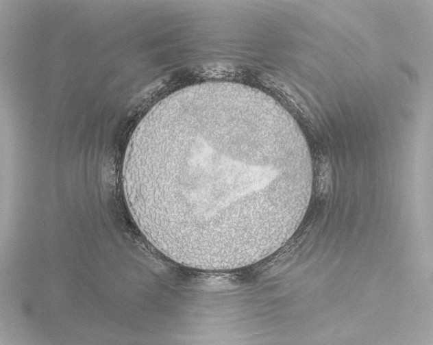 X0000116150569200912211511