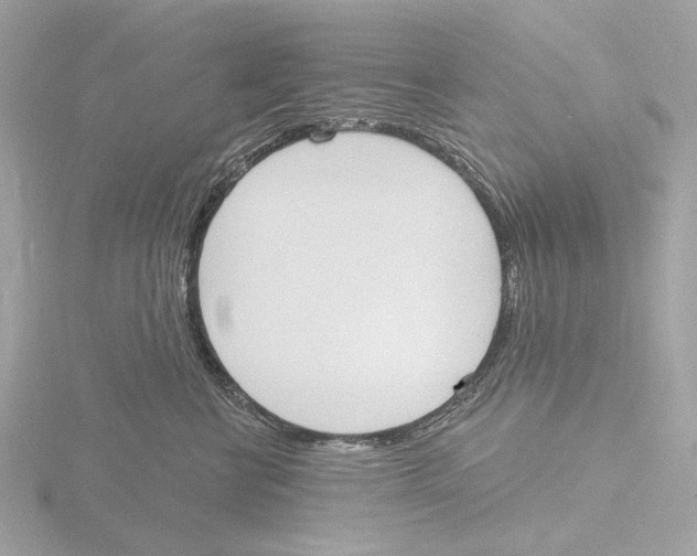 X0000116150570200912211511