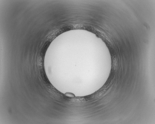 X0000116150571200912211511