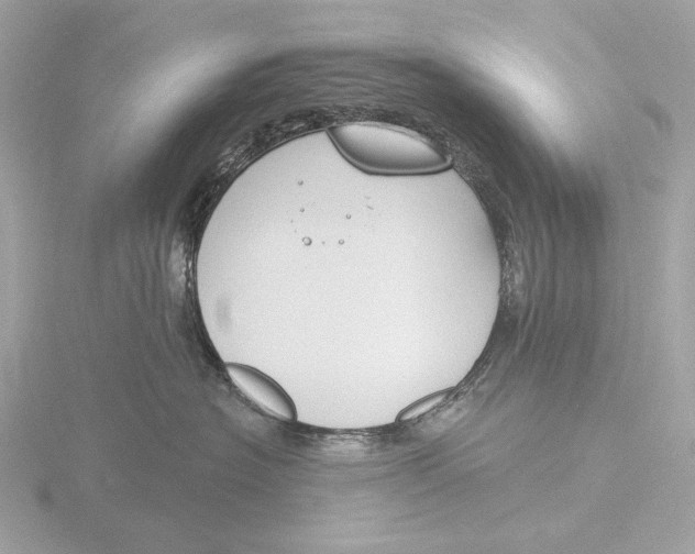 X0000116150574200912211511