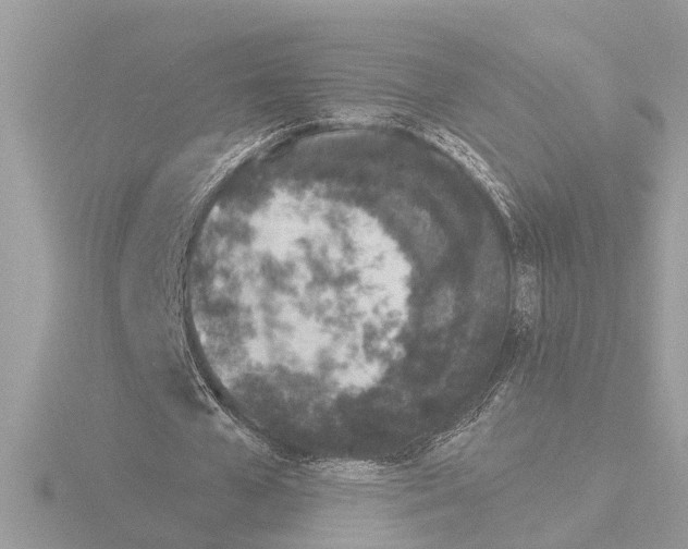 X0000116150577200912211510