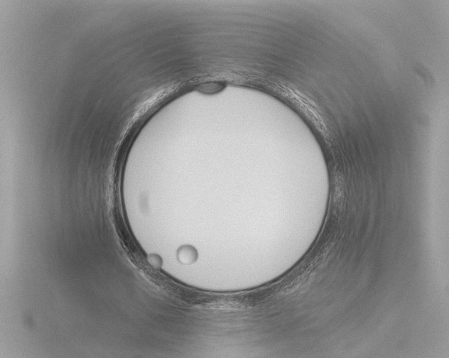 X0000116150578200912211510