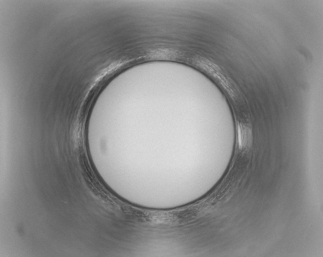 X0000116150579200912211510