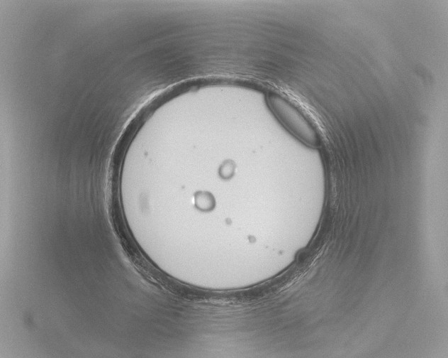 X0000116150580200912211510