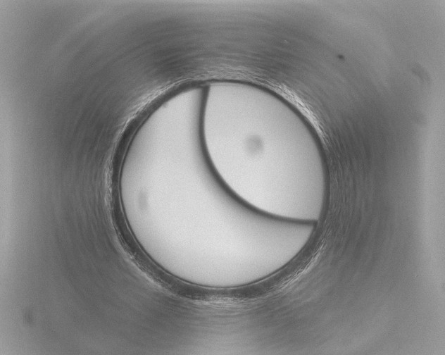 X0000116150581200912211510