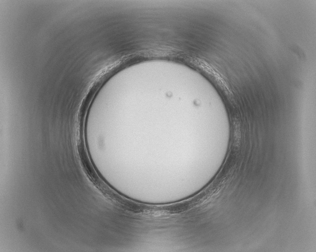 X0000116150582200912211510