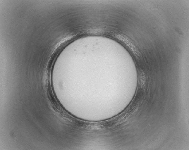 X0000116150583200912211510