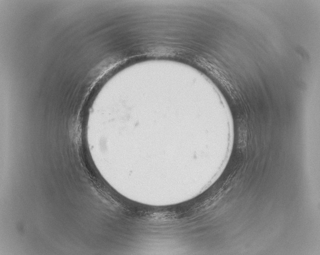 X0000116150584200912211510