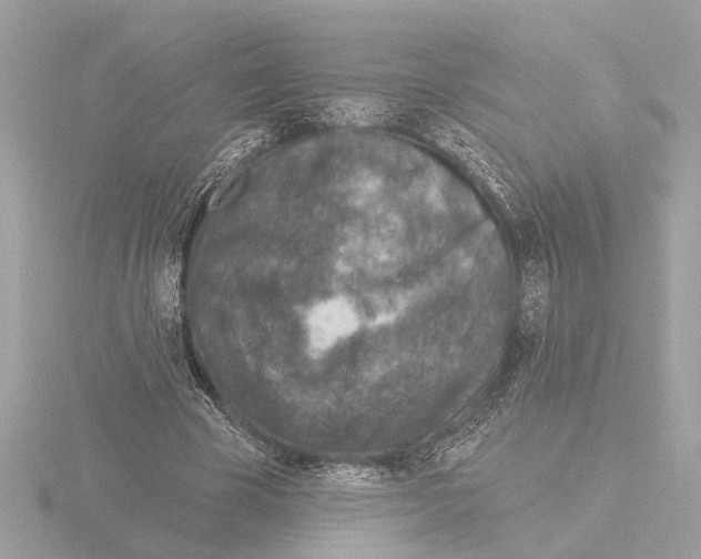 X0000116150585200912211510