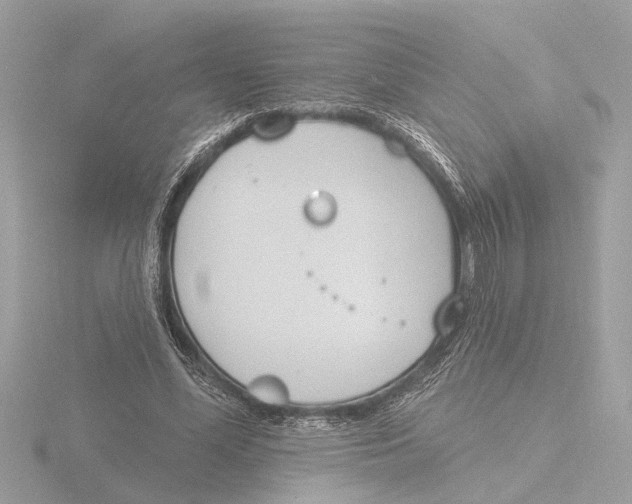 X0000116150588200912211510