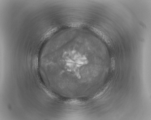 X0000116150589200912211510