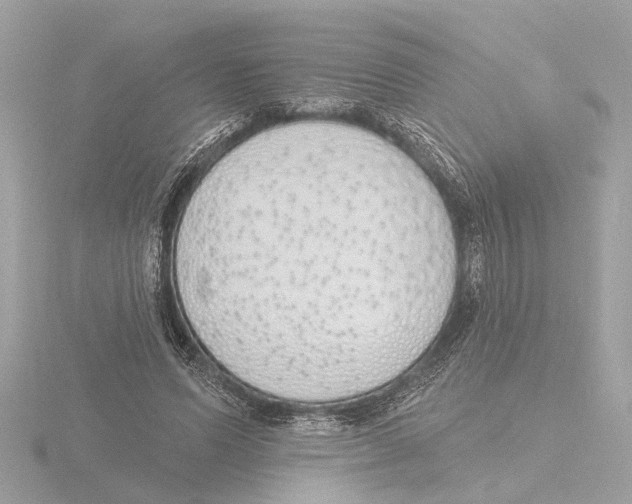 X0000116150591200912211510