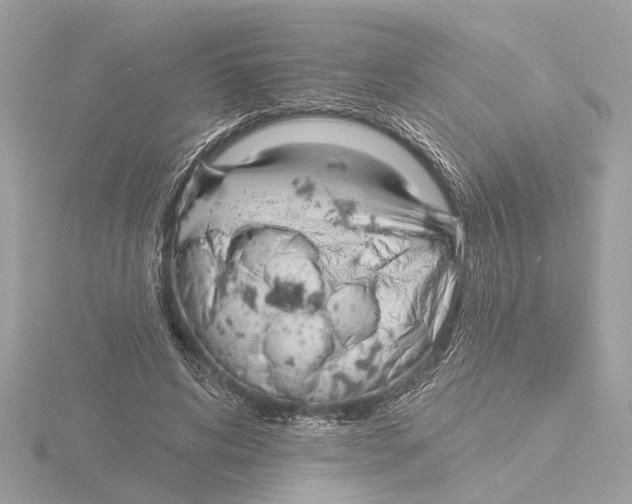 X0000116150592200912211510