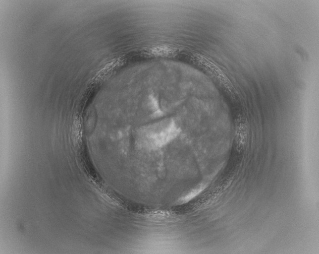 X0000116150593200912211510