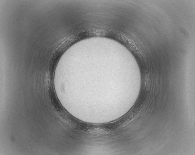 X0000116150594200912211510