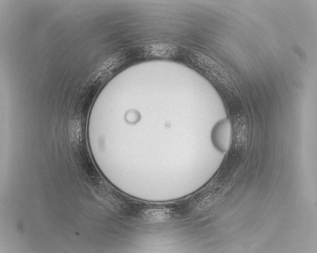 X0000116150595200912211510