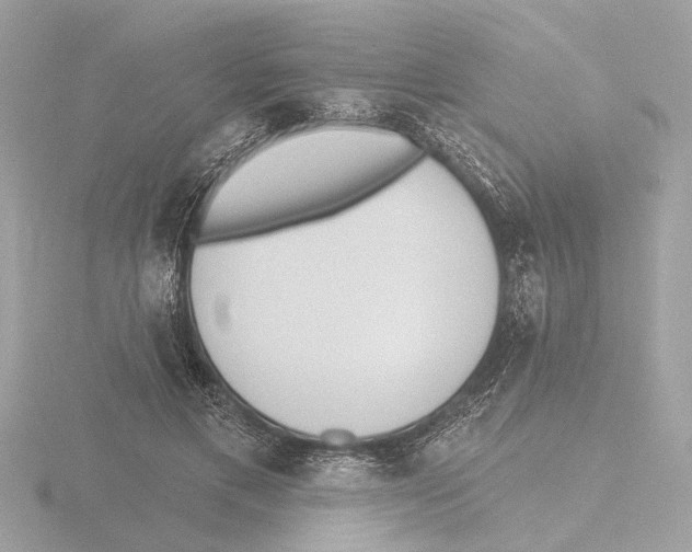 X0000116150597200912211510