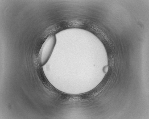 X0000116150599200912211510