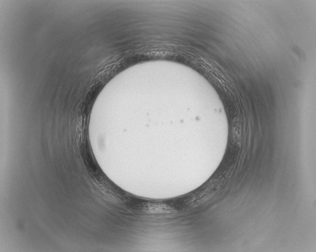 X0000116150605200912211510