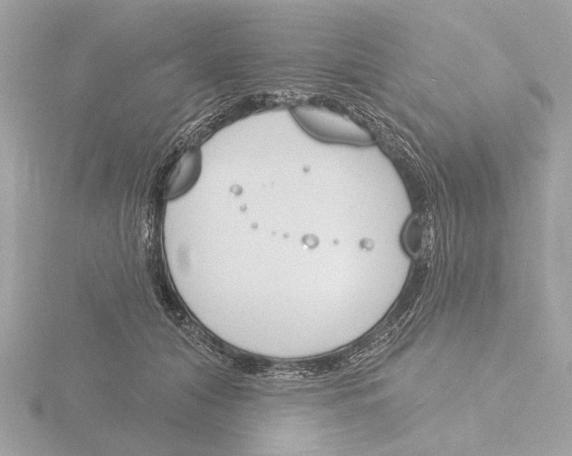 X0000116150608200912211510