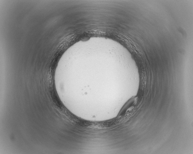 X0000116150609200912211510