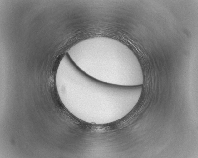 X0000116150613200912211510