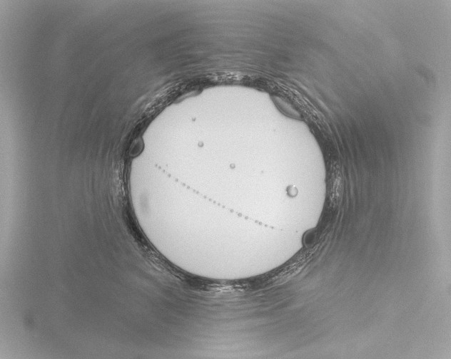 X0000116150616200912211510