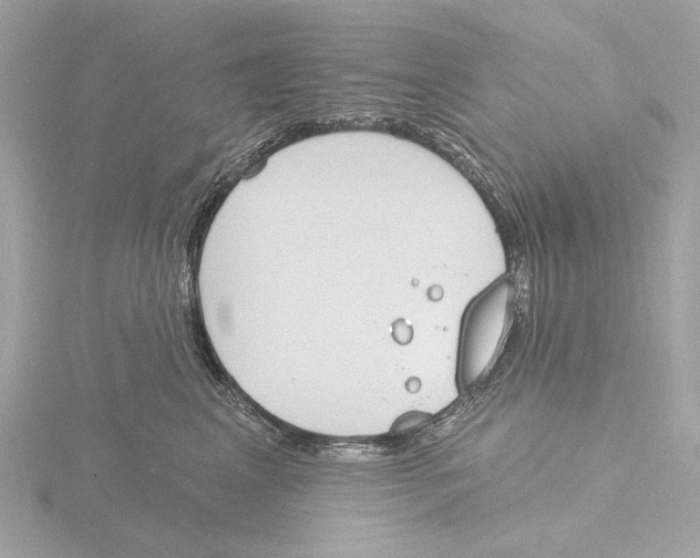 X0000116150617200912211510