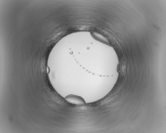 X0000116150620200912211510