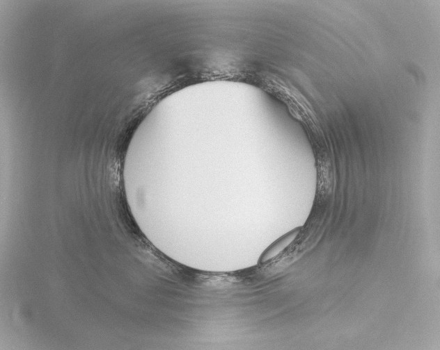 X0000116150621200912211510