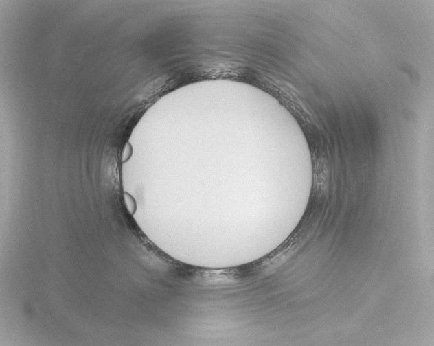 X0000116150622200912211510