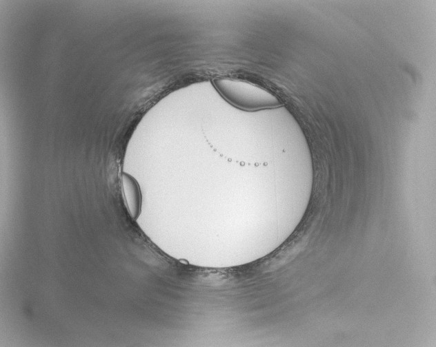 X0000116150624200912211510