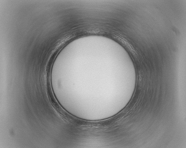 X0000116150626200912211509