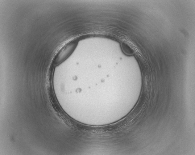 X0000116150628200912211509