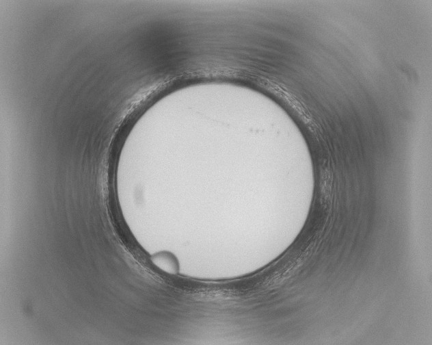 X0000116150629200912211509