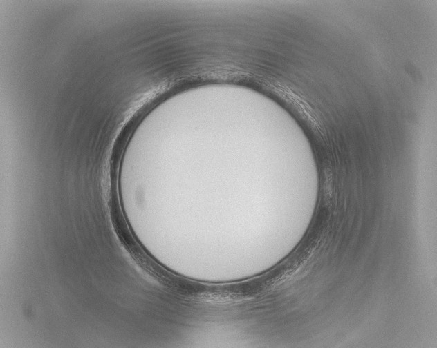 X0000116150630200912211509