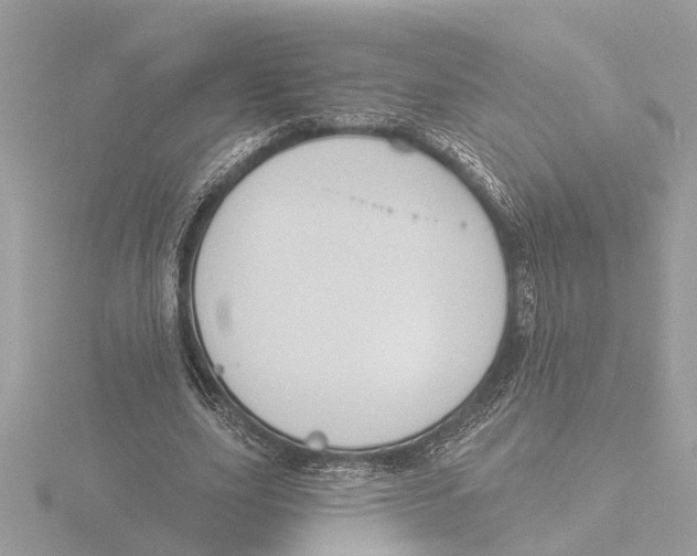 X0000116150631200912211509