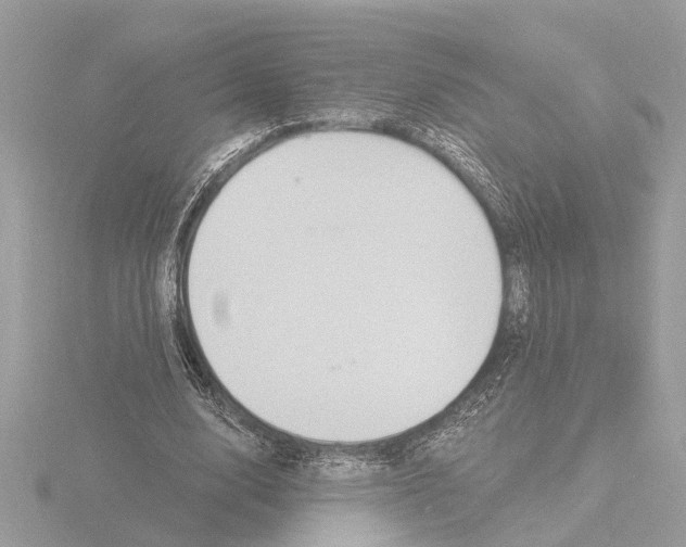 X0000116150632200912211509