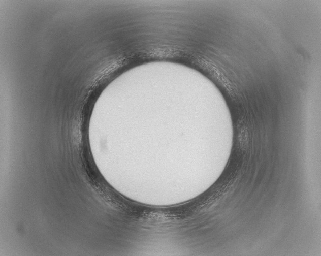 X0000116150635200912211509