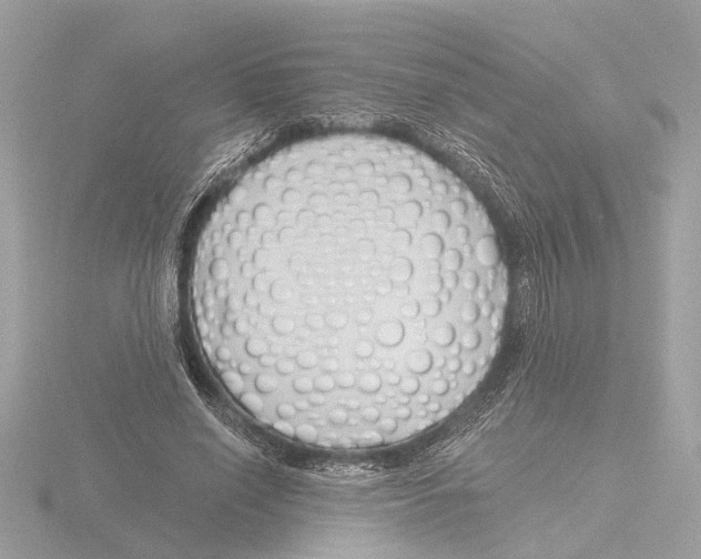 X0000116150638200912211509