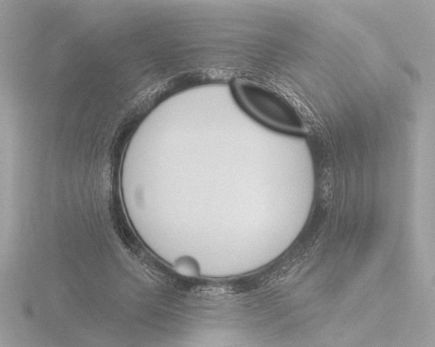 X0000116150639200912211509