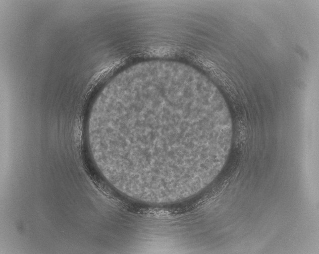 X0000116150640200912211509